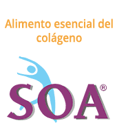 SOA SILICIO