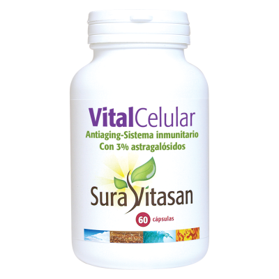 Vital Celular