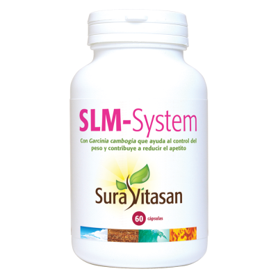 SLM-System
