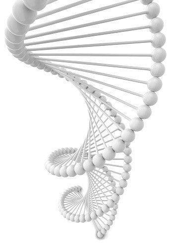 MAPA GENÉTICO DE SALUD
