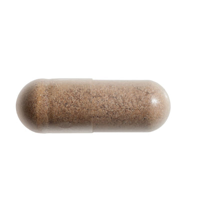 Cordyceps sinensis mycelium 90 caps - BONUSAN