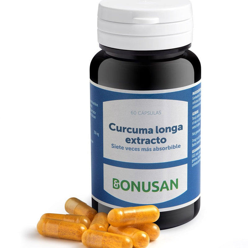 Curcuma longa extracto