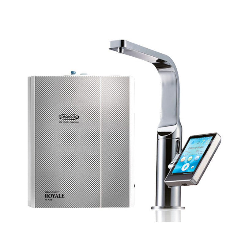CHANSON IONIZADOR MIRACLE MAX ROYALE - masquedietasonline.com 