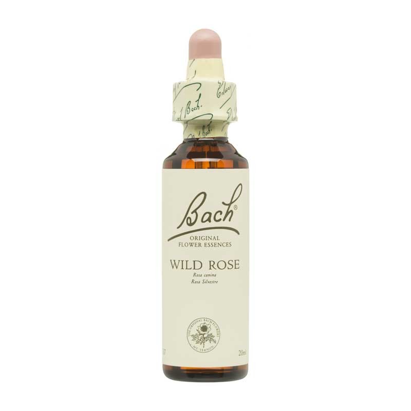Flor nº 37 Wild Rose 20ml Bach