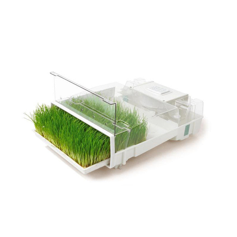 GERMINADOR ELÉCTRICO - EASY GREEN