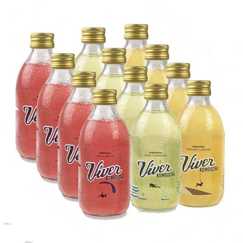 Pack surtido multisabor Kombucha 12x250ml Viver