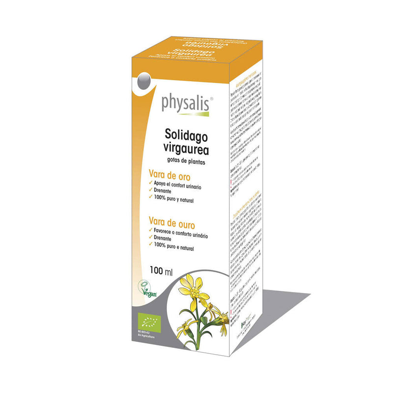 Vara de oro (solidago virgaurea) extracto hidroalcoholico bio 100ml Physalis
