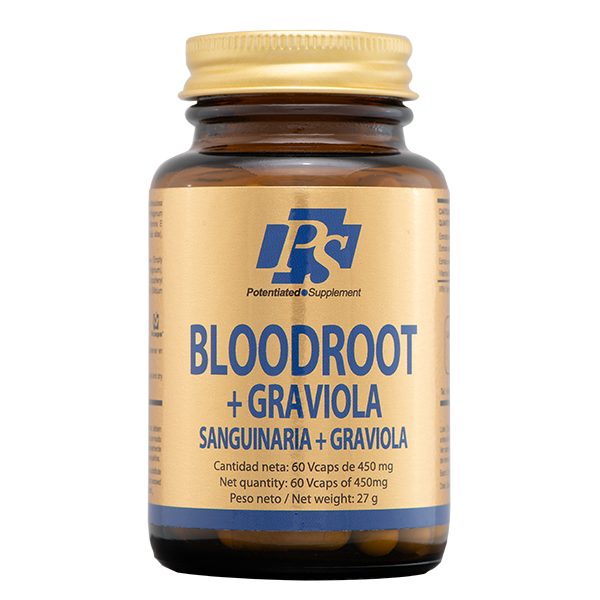 Bloodroot – Sanguinaria