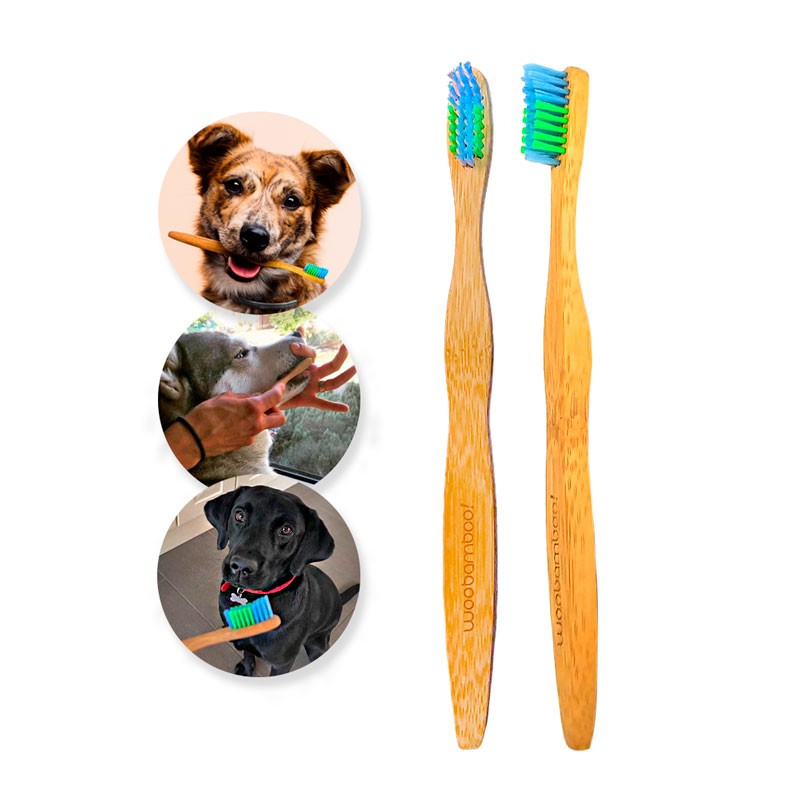 Cepillo de Dientes Bambu para Mascotas Woobamboo