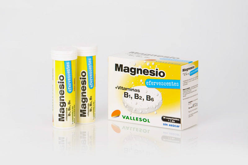 Magnesio efervescente + B caja de 12 unidades con 24 comprimidos Vallesol