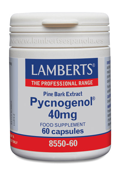 Pycnogenol® 40 mg es un Extracto de Corteza de Pino Marítimo