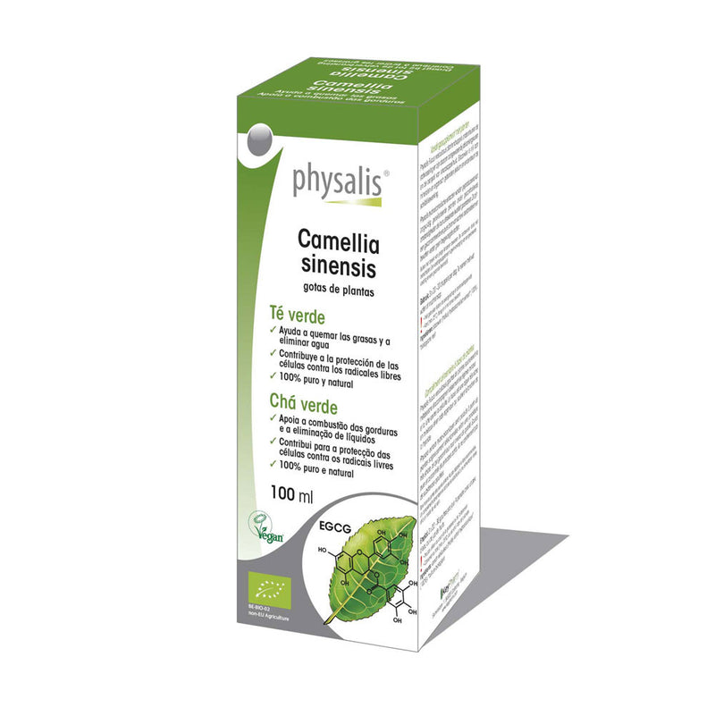 Te verde (camellia sinensis) extracto hidroalcoholico bio 100ml Physalis